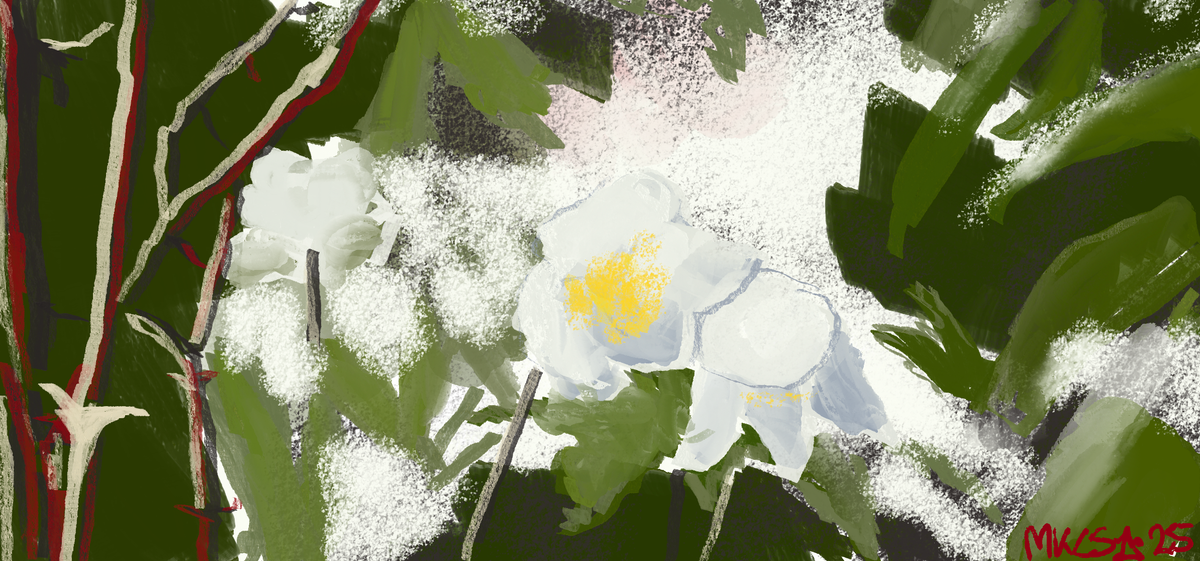 Family love in Winter Rose