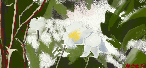 Family love in Winter Rose